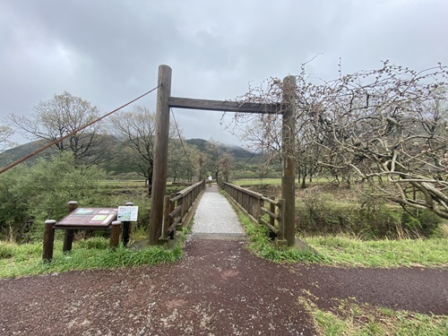 タデ原湿原の入口になる橋