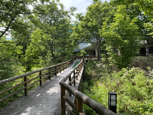 白神山地ビジターセンターに向かう木道