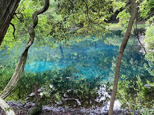 丸池様の綺麗なブルー