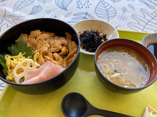 道の駅　うみてらす名立のうに丼