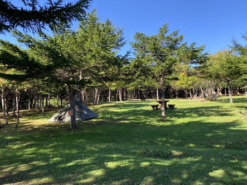 稚内森林公園キャンプ場のキャンプサイトの様子