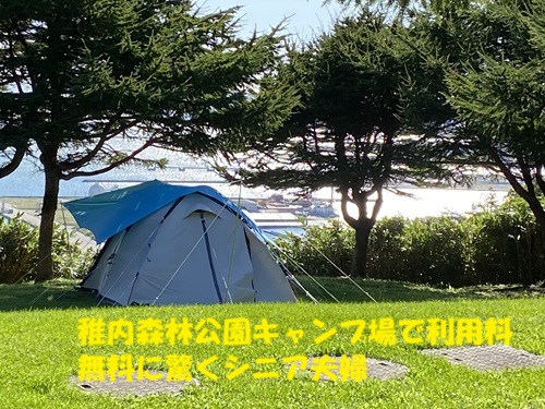 稚内森林公園キャンプ場で利用料無料に驚くシニア夫婦