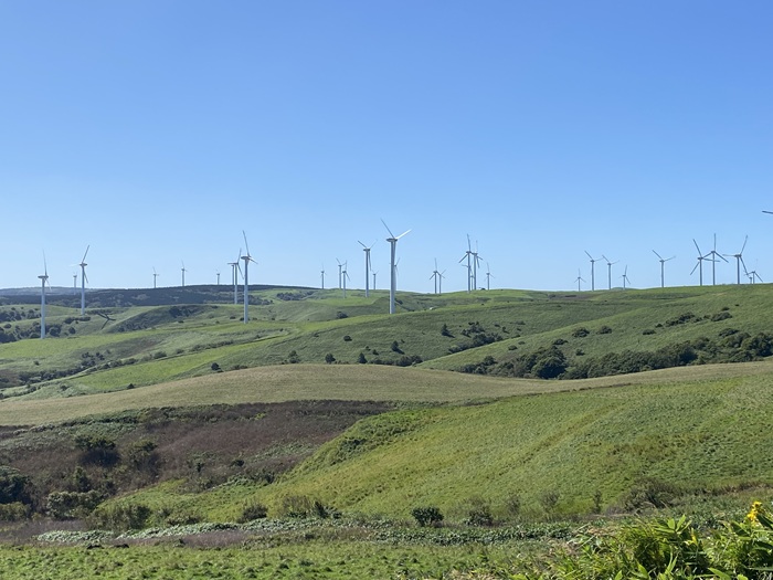 沢山の風力発電がたつ宗谷丘陵