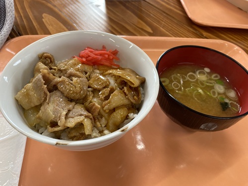 トロッコ王国美深の豚丼