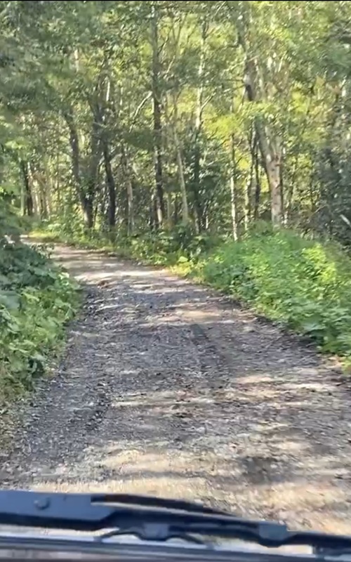 未舗装の歌登へ向かう道