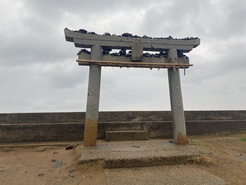 芥屋の大門公園散策路の鳥居と乗せられた石たち