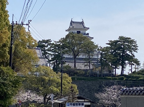 島原城の遠景