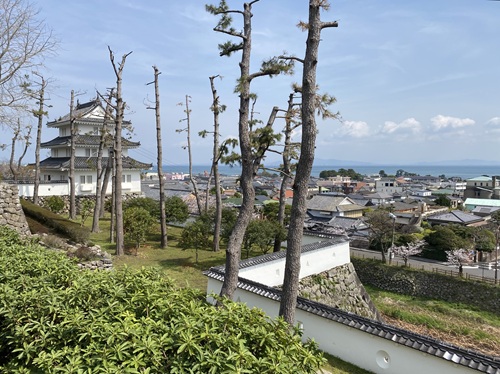 島原城の庭から見た城下の町