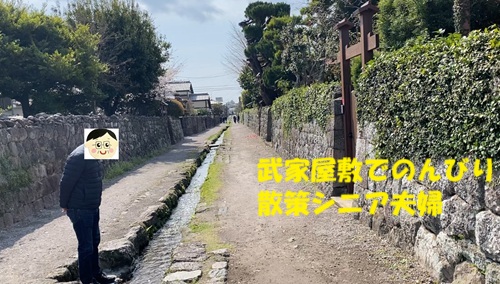 武家屋敷でのんびり散策シニア夫婦