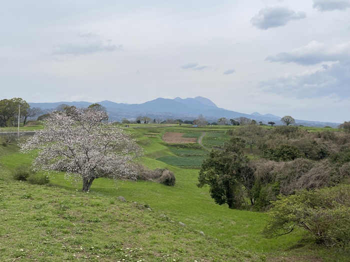 原城跡の広い景色
