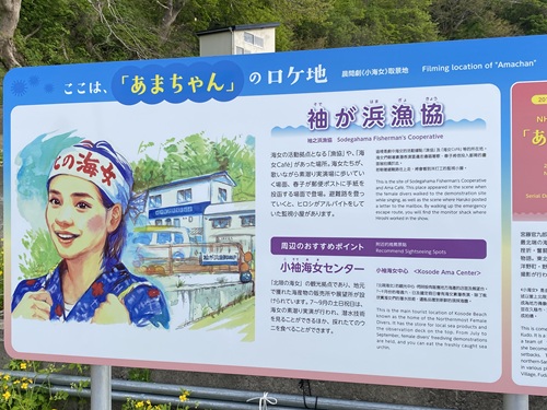 袖が浜漁協のあまちゃんの案内看板