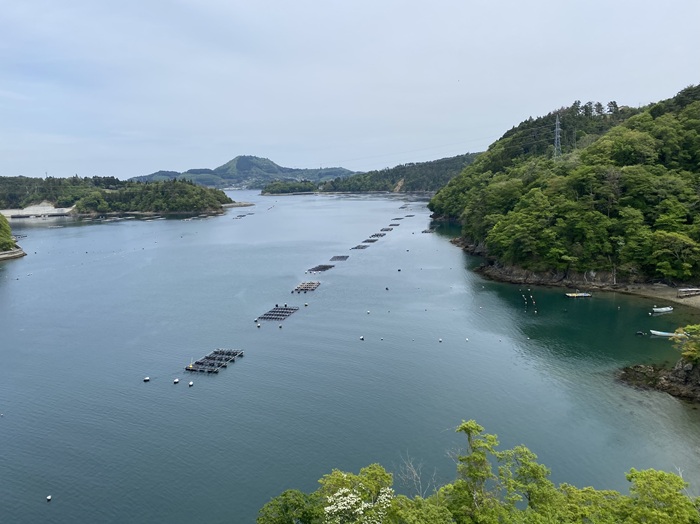 気仙沼大橋から見える湾の風景