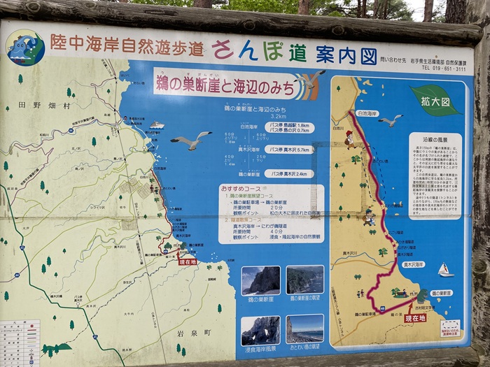 鵜の巣断崖にある散策路の案内看板