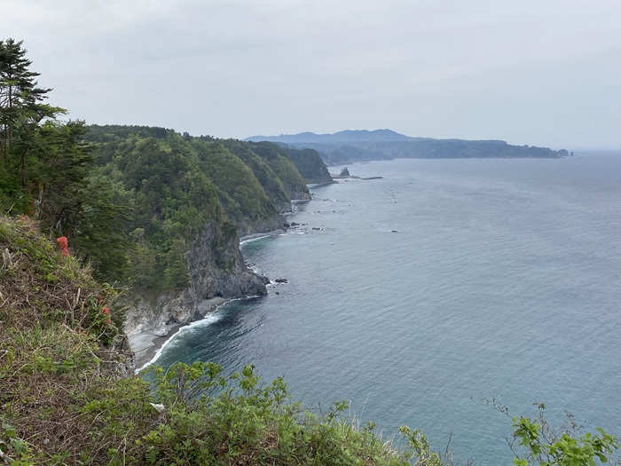 鵜の巣断崖展望所から見える断崖と海