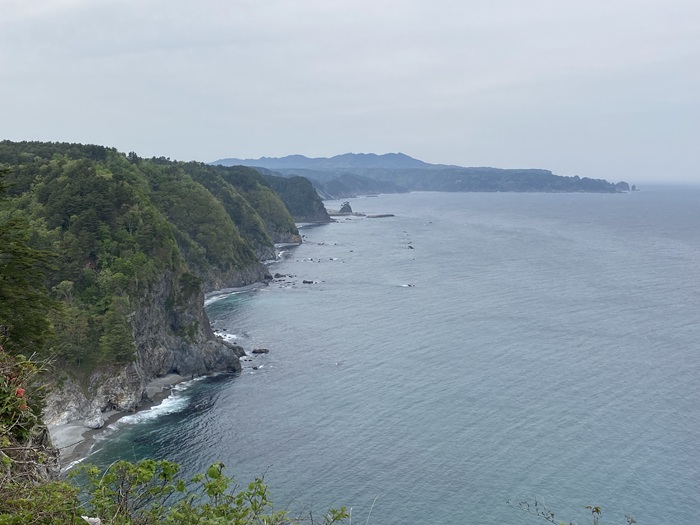 鵜の巣断崖展望所から見える五列に連なる断崖