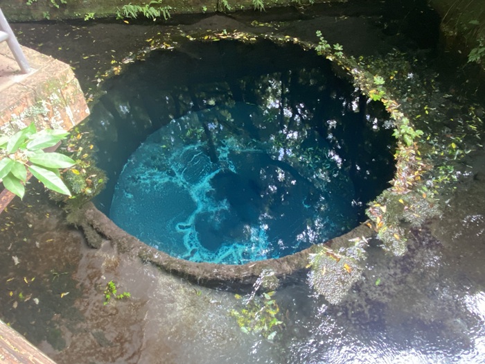 柿田川公園のブルーホール