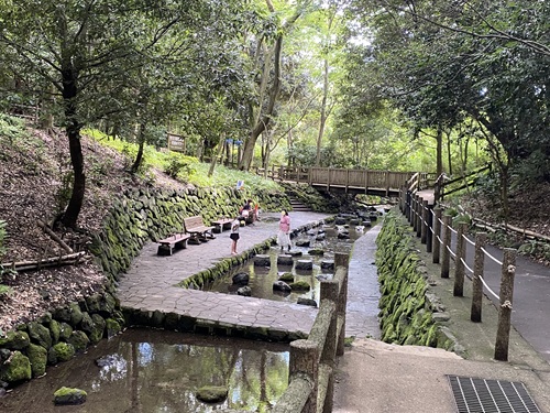 柿田川公園の湧水遊びできる場所
