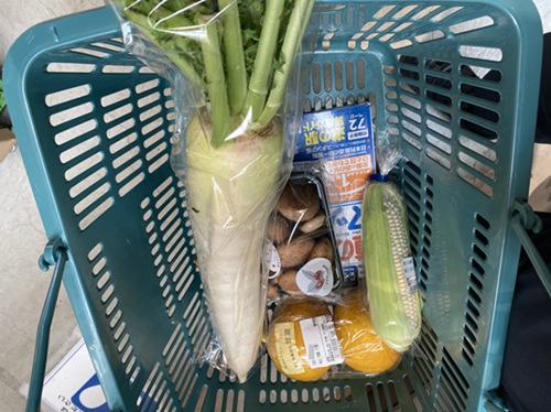 道の駅伊豆月ヶ瀬で買った野菜