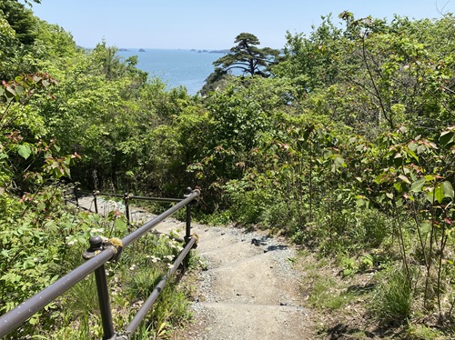 馬の背に行く道