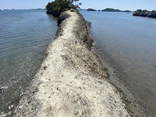 馬の背の入口の細い道と海