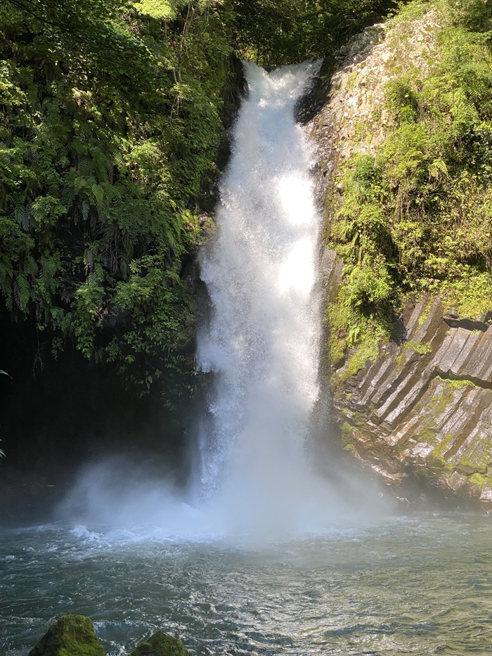 激しい流れを見せる浄蓮の滝
