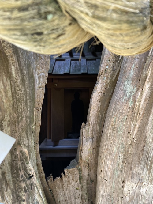 薬師の柏慎の中の祠