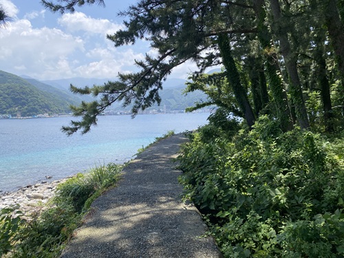御浜岬の海側から赤い鳥居に続く道