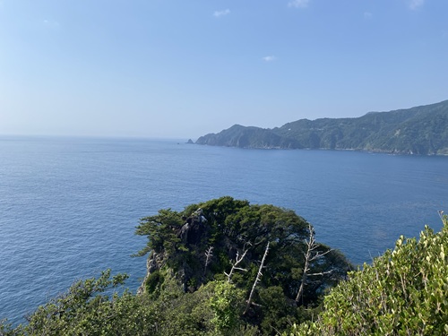 富士見の丘から富士山がわを見た風景