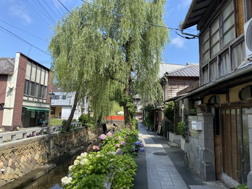 柳が印象的なペリーロード