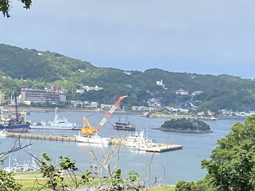 下田公園の展望台から見える下田の湾