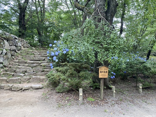 あじさいが綺麗な懐古園園内