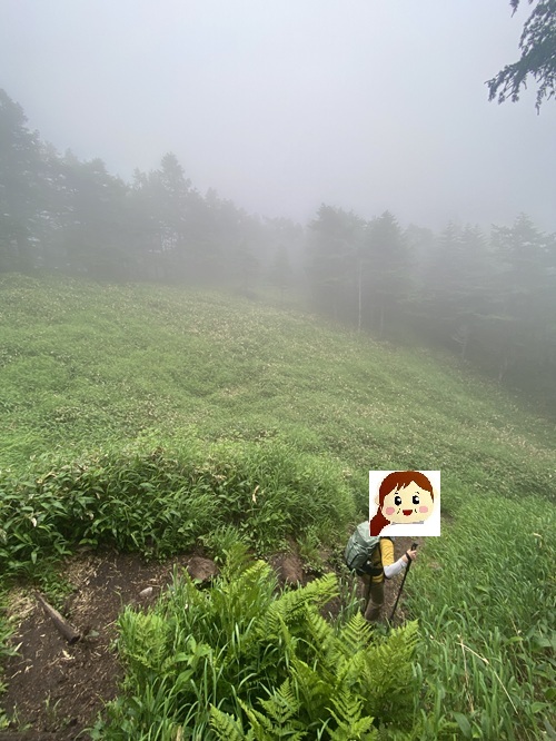黒斑山の下る登山道