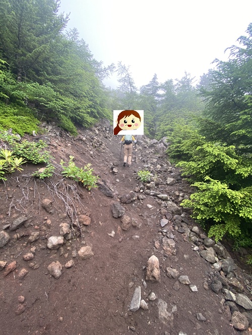 土と石がゴロゴロしている黒斑山の登山道