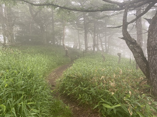 黒斑山の登山口近くの道