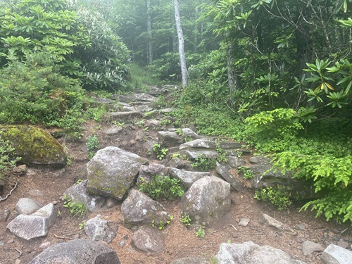 大きめの岩がある黒斑山の登山道