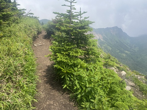 蛇骨岳に向かう尾根道