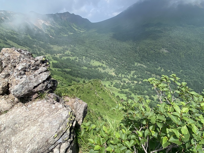 トーミの頭から見える風景