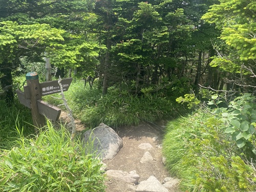 黒斑山の中コースに向かう登山道分岐