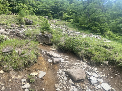 土と石や岩の混じる道