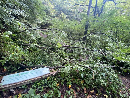 葬沢の倒れた案内看板