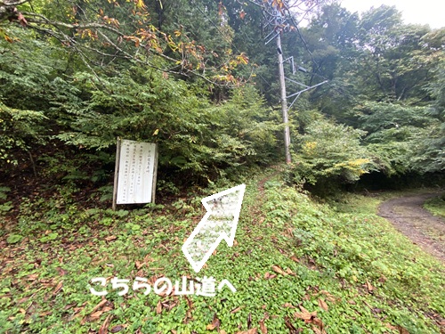 峰の茶屋横の峠道