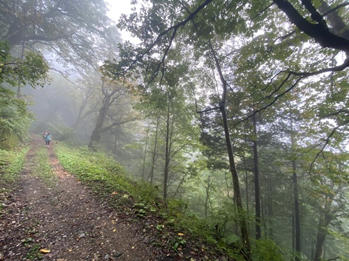 鳥居峠の道と歩く人