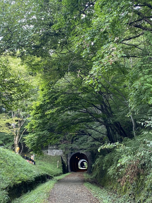 緑のトンネルをくぐるアプトの道