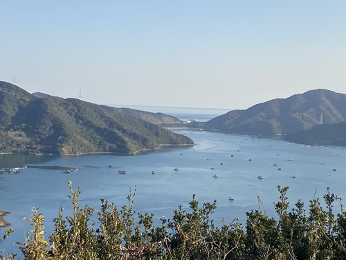 小さな筏が沢山浮かぶ海