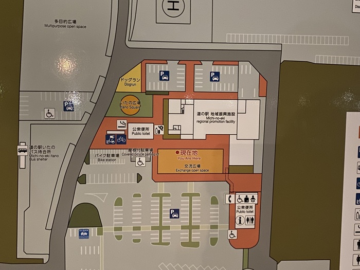 道の駅いたの現地案内図