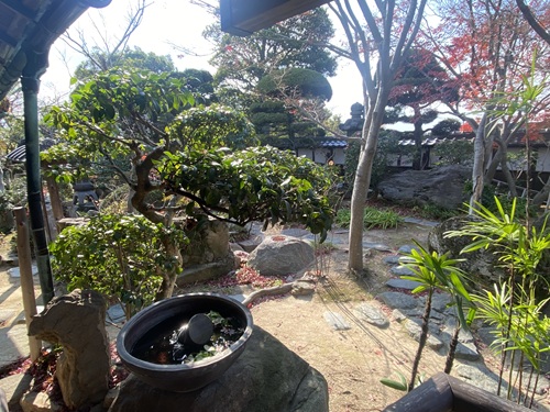 うどん本陣　山田家のお庭