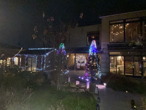 ライトアップされた夜の仏生山の森