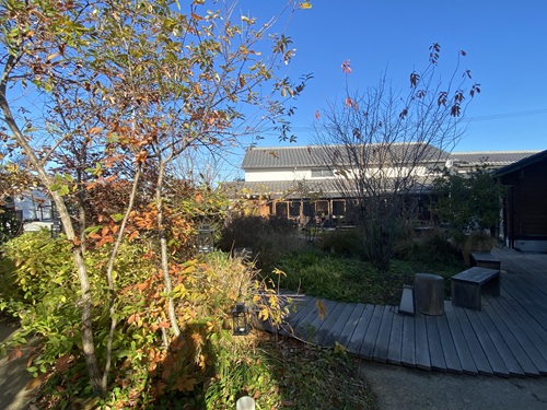 仏生山の森の外観