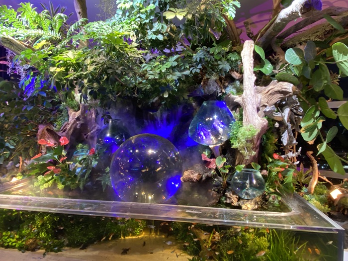 ソラキン４階の大きな水槽