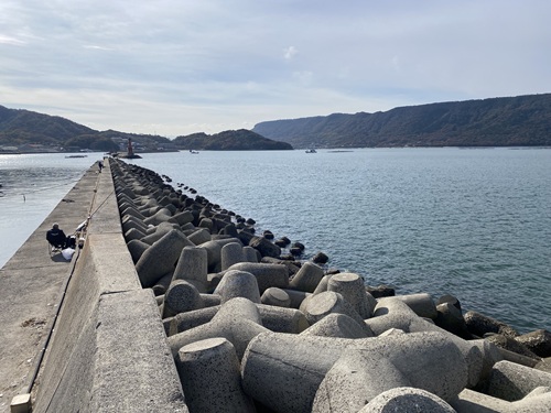 映画でサクが走った防波堤の上